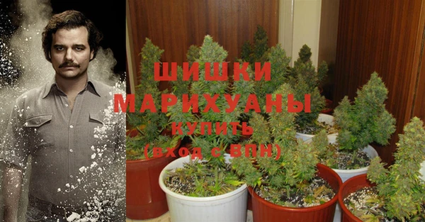 МДПВ Абдулино