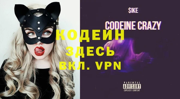 индика Абинск