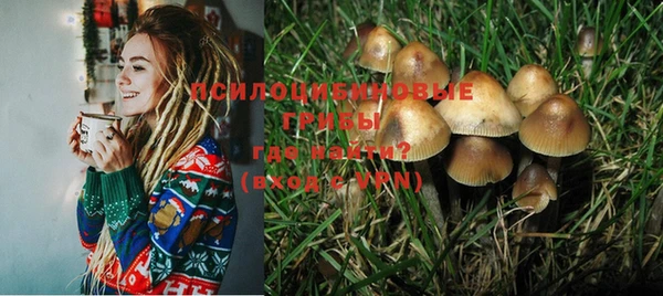 индика Абинск