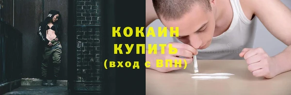 индика Абинск
