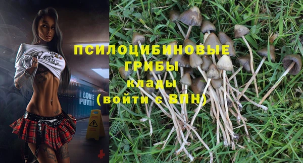 индика Абинск