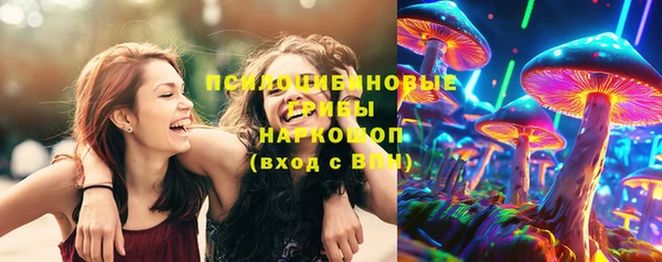 индика Абинск