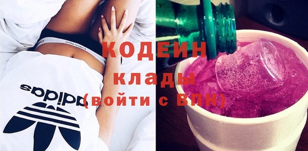 индика Абинск