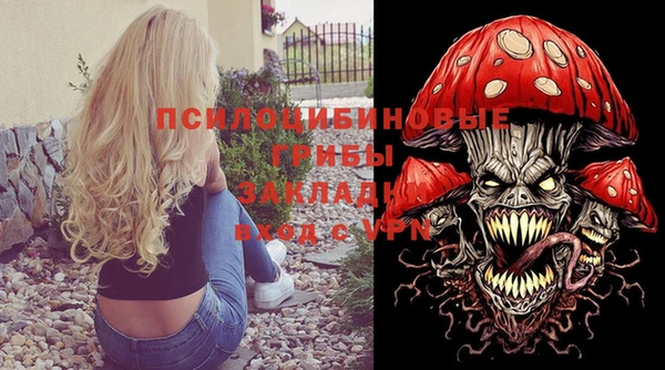 МДПВ Абдулино