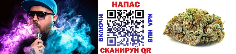где можно купить наркотик  Вышний Волочёк  Канабис SATIVA & INDICA 